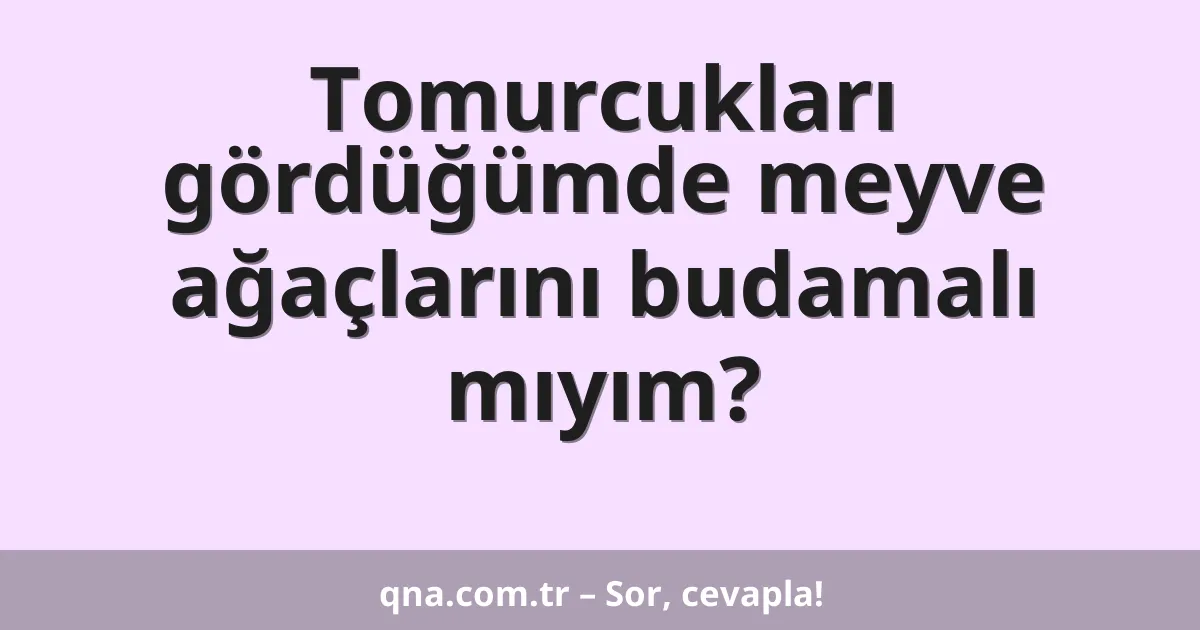 Tomurcukları gördüğümde meyve ağaçlarını budamalı mıyım?