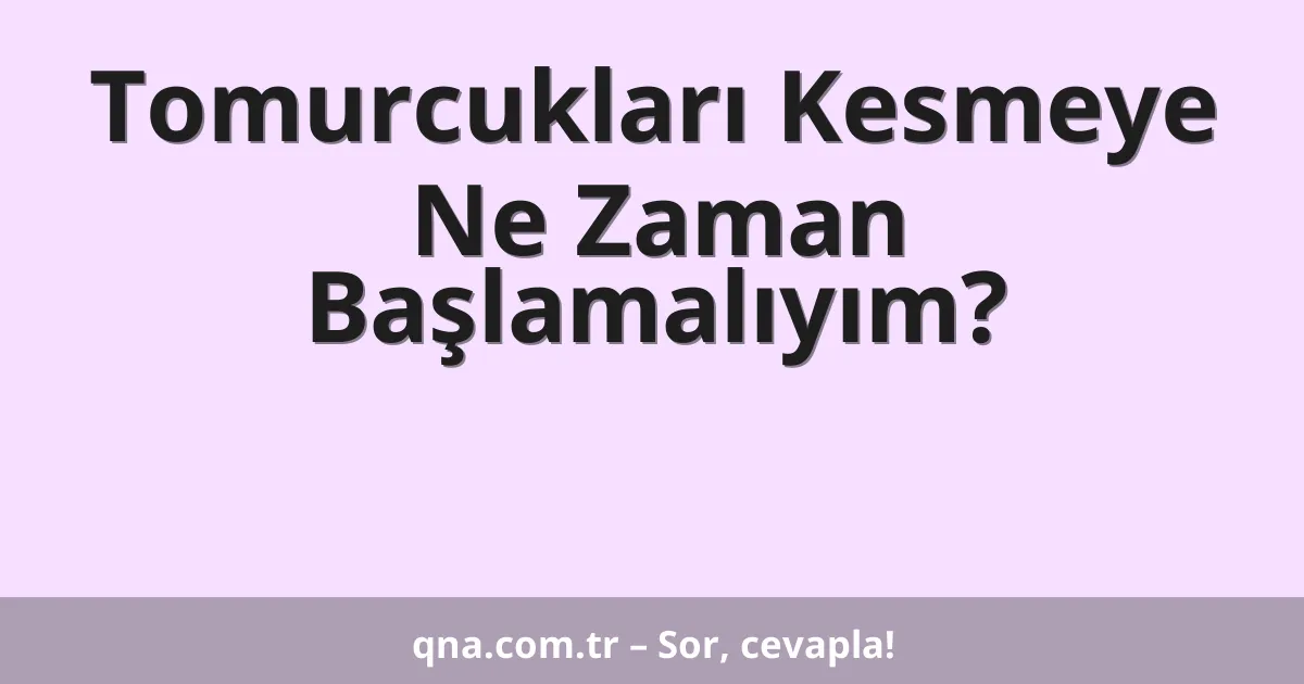 Tomurcukları Kesmeye Ne Zaman Başlamalıyım?