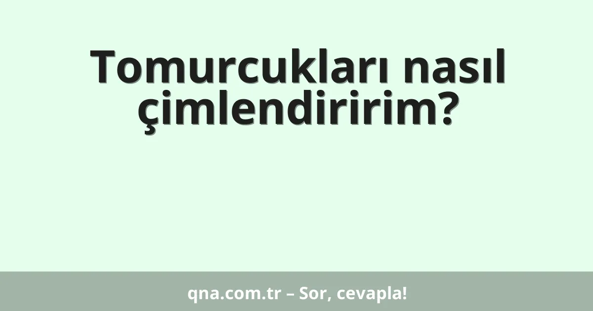 Tomurcukları nasıl çimlendiririm?