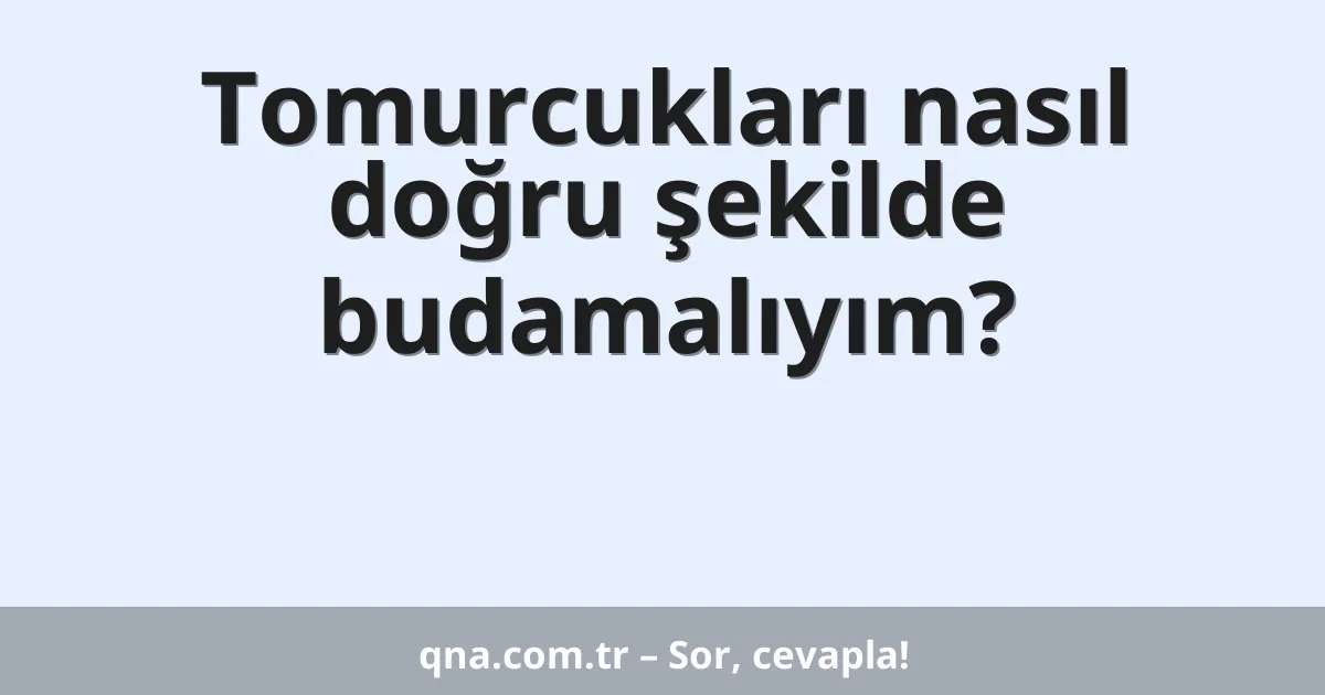 Tomurcukları nasıl doğru şekilde budamalıyım?