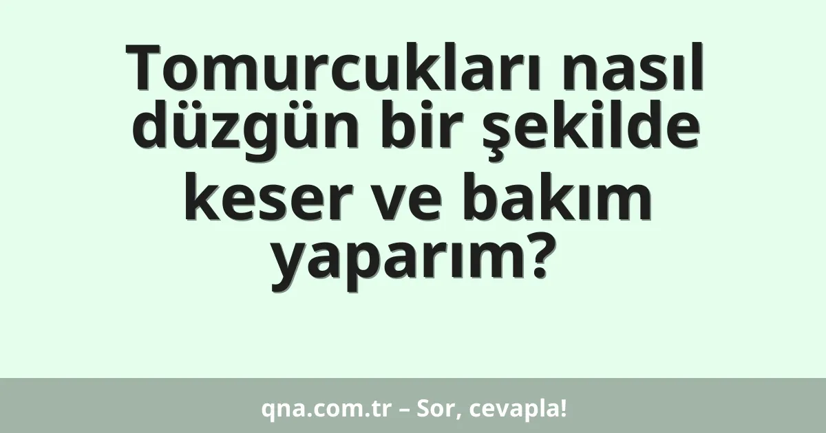 Tomurcukları nasıl düzgün bir şekilde keser ve bakım yaparım?