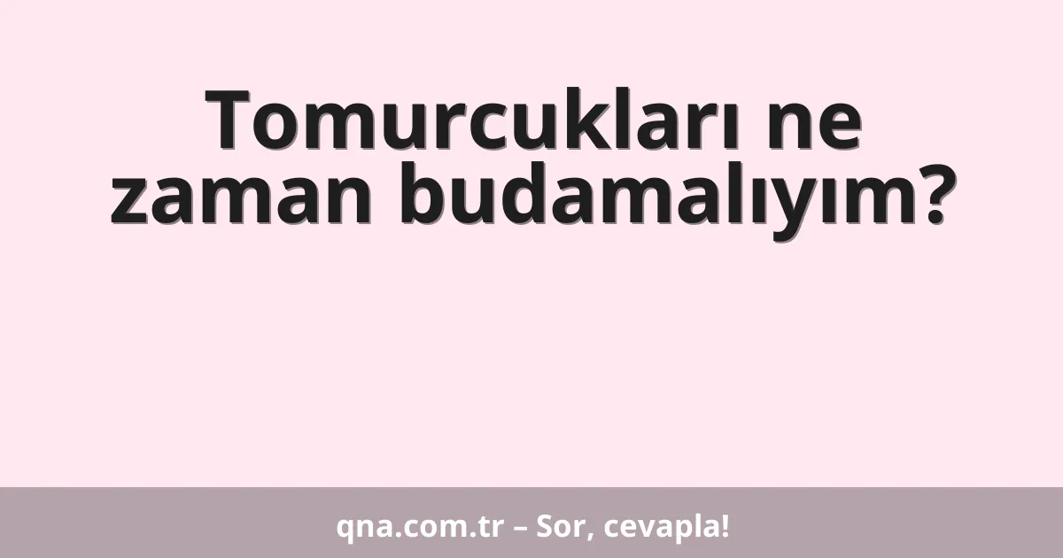Tomurcukları ne zaman budamalıyım?