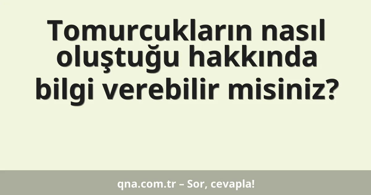 Tomurcukların nasıl oluştuğu hakkında bilgi verebilir misiniz?