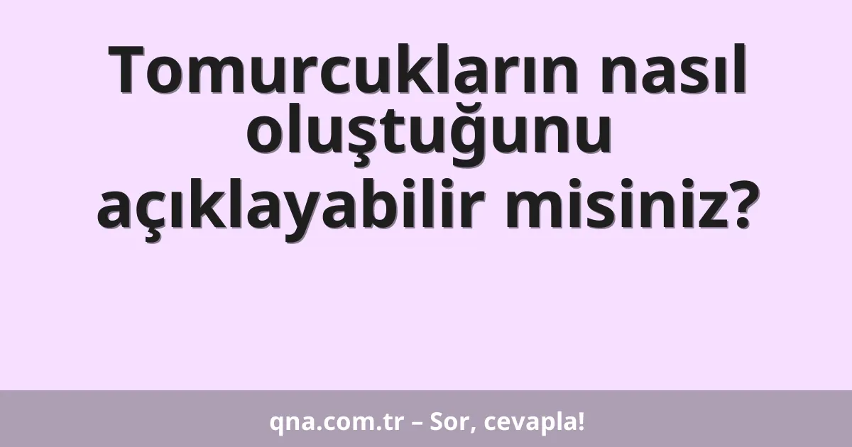 Tomurcukların nasıl oluştuğunu açıklayabilir misiniz?