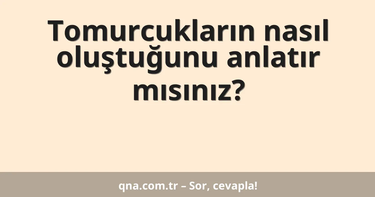 Tomurcukların nasıl oluştuğunu anlatır mısınız?