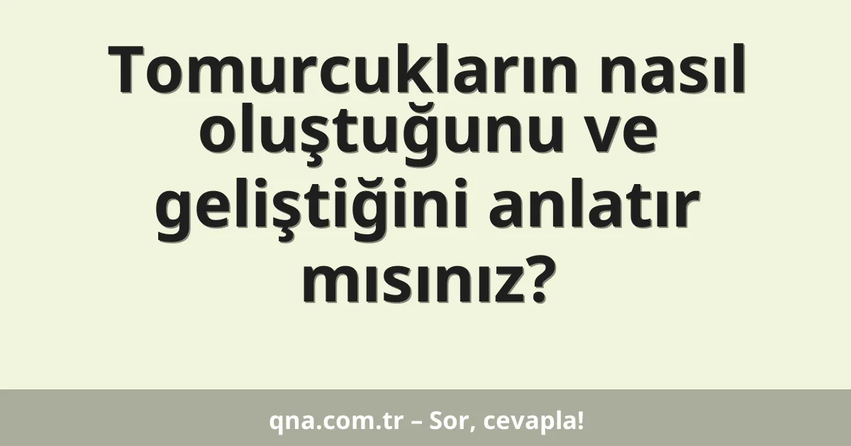 Tomurcukların nasıl oluştuğunu ve geliştiğini anlatır mısınız?