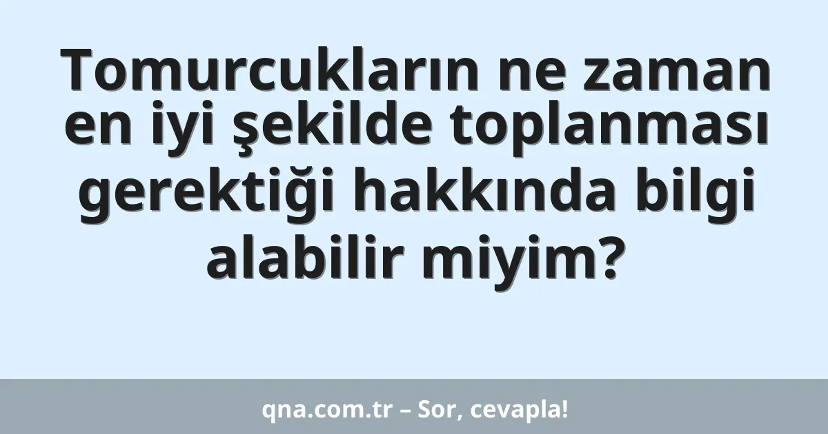 Tomurcukların ne zaman en iyi şekilde toplanması gerektiği hakkında bilgi alabilir miyim?