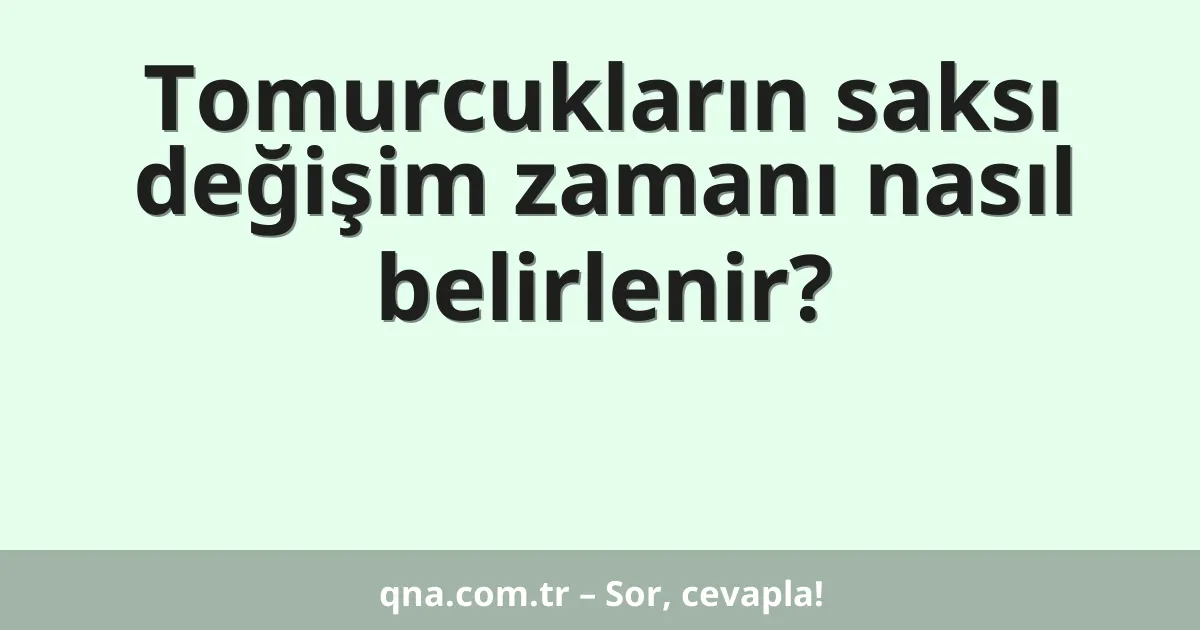 Tomurcukların saksı değişim zamanı nasıl belirlenir?