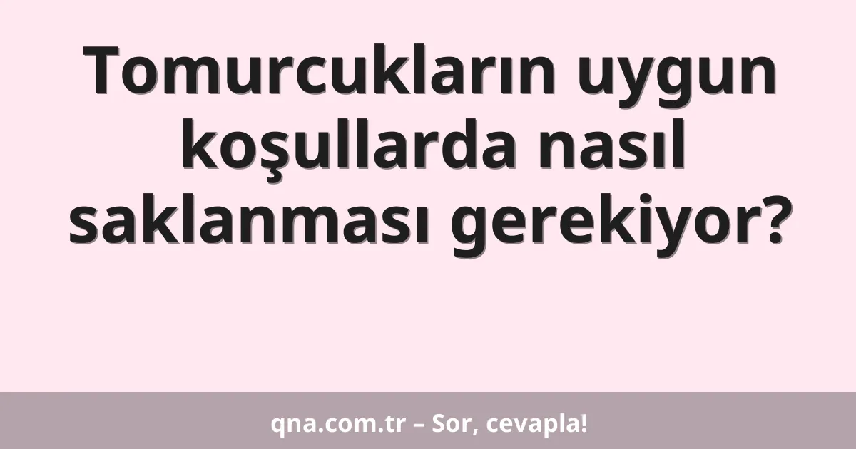 Tomurcukların uygun koşullarda nasıl saklanması gerekiyor?