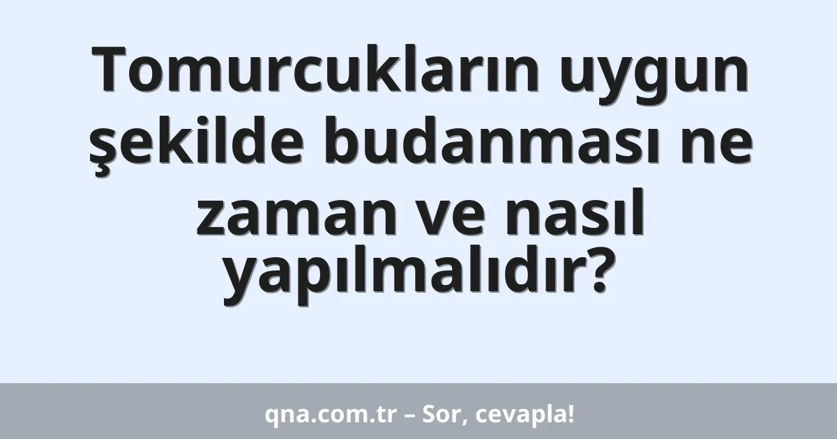 Tomurcukların uygun şekilde budanması ne zaman ve nasıl yapılmalıdır?