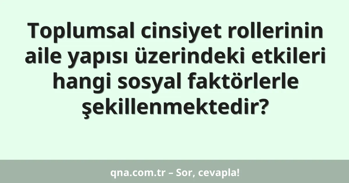 Toplumsal cinsiyet rollerinin aile yapısı üzerindeki etkileri hangi sosyal faktörlerle şekillenmektedir?