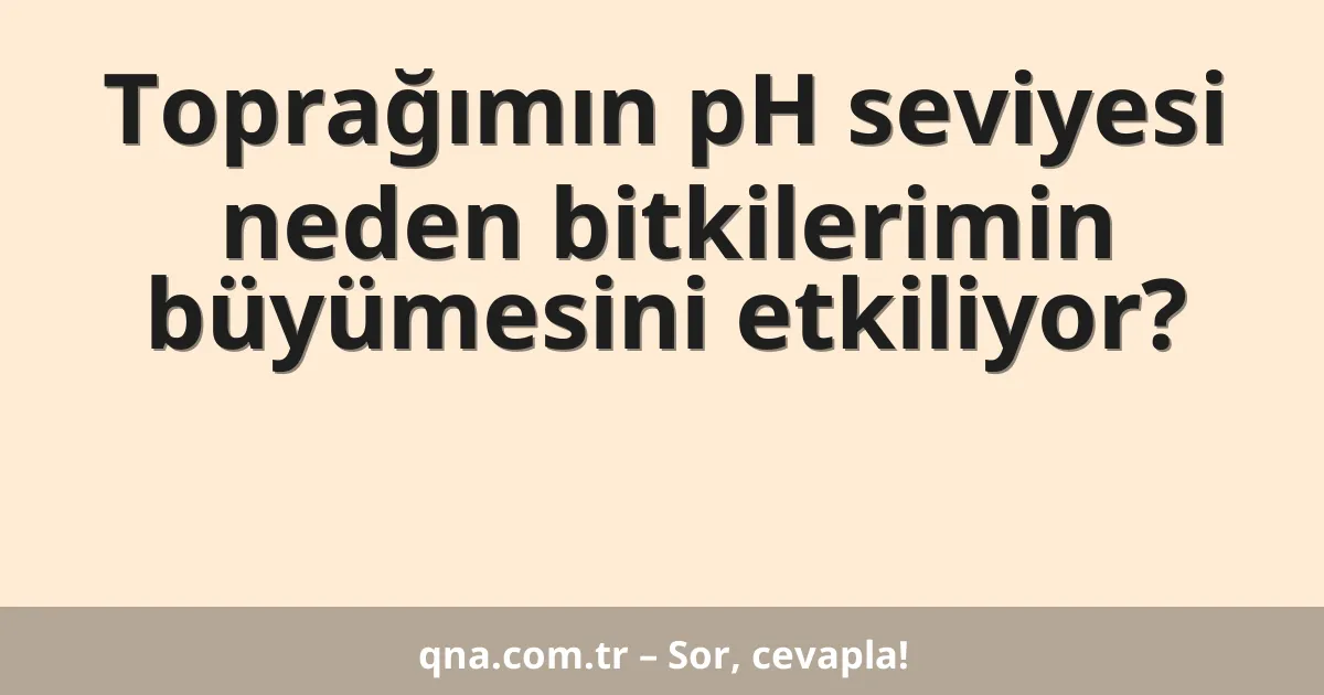 Toprağımın pH seviyesi neden bitkilerimin büyümesini etkiliyor?