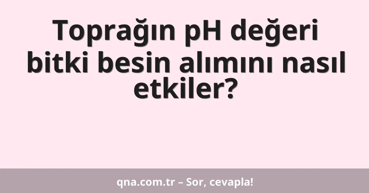 Toprağın pH değeri bitki besin alımını nasıl etkiler?
