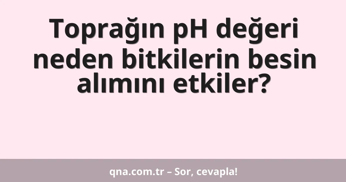 Toprağın pH değeri neden bitkilerin besin alımını etkiler?