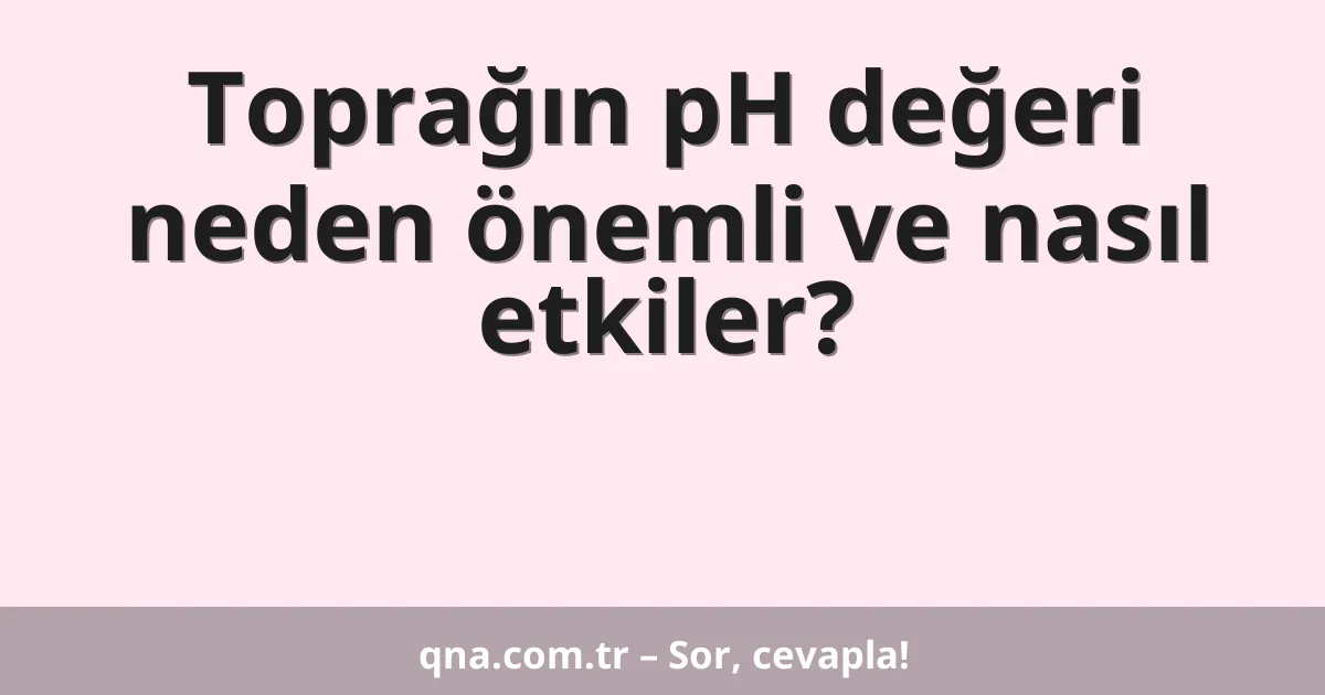 Toprağın pH değeri neden önemli ve nasıl etkiler?