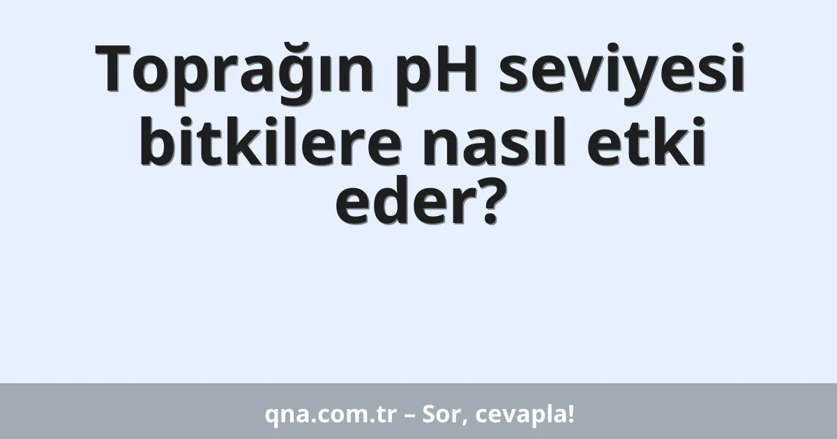 Toprağın pH seviyesi bitkilere nasıl etki eder?