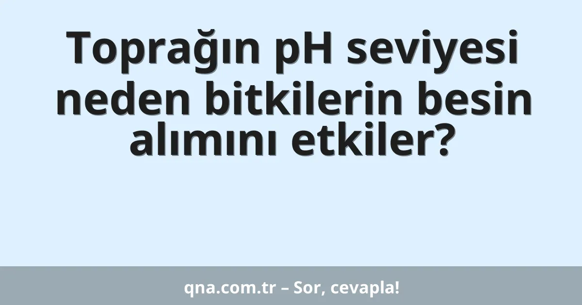 Toprağın pH seviyesi neden bitkilerin besin alımını etkiler?
