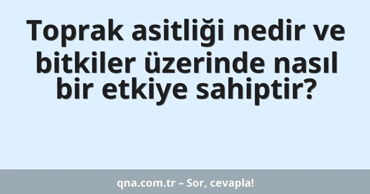 Toprak asitliği nedir ve bitkiler üzerinde nasıl bir etkiye sahiptir?