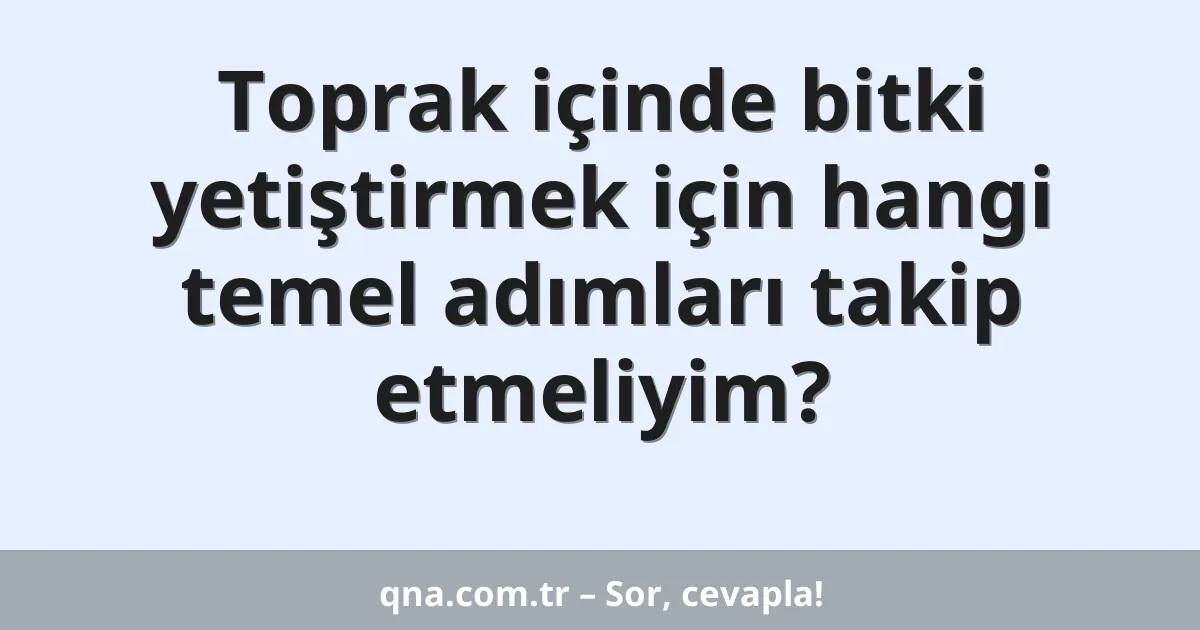 Toprak içinde bitki yetiştirmek için hangi temel adımları takip etmeliyim?