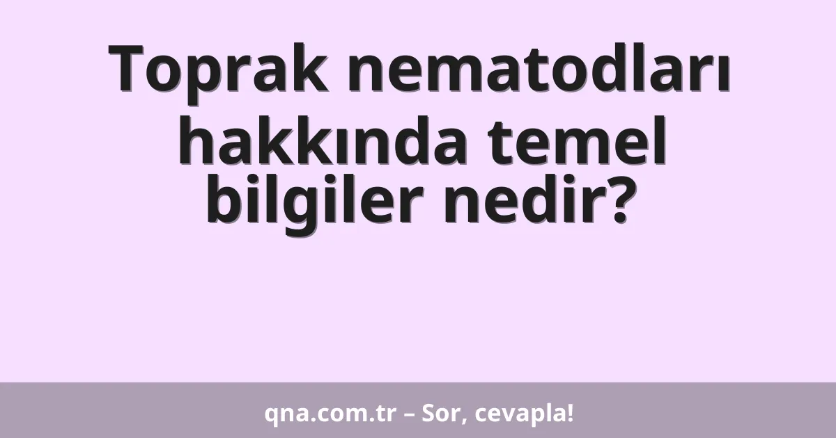 Toprak nematodları hakkında temel bilgiler nedir?