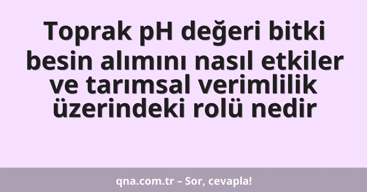 Toprak pH değeri bitki besin alımını nasıl etkiler ve tarımsal verimlilik üzerindeki rolü nedir