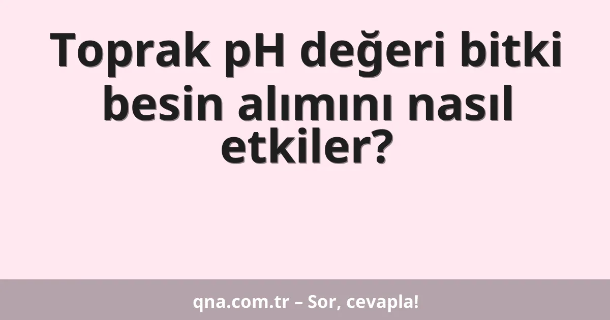 Toprak pH değeri bitki besin alımını nasıl etkiler?