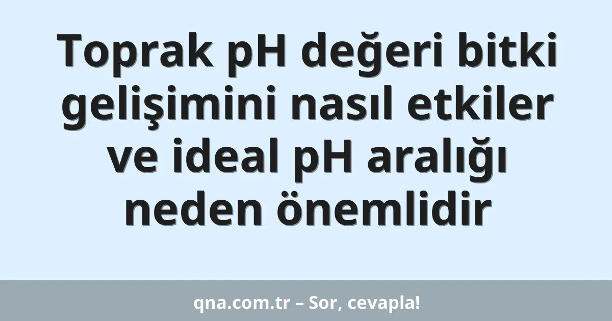 Toprak pH değeri bitki gelişimini nasıl etkiler ve ideal pH aralığı neden önemlidir