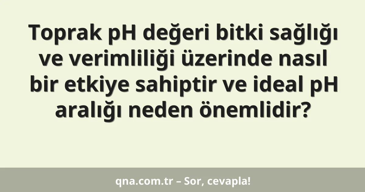 Toprak pH değeri bitki sağlığı ve verimliliği üzerinde nasıl bir etkiye sahiptir ve ideal pH aralığı neden önemlidir?