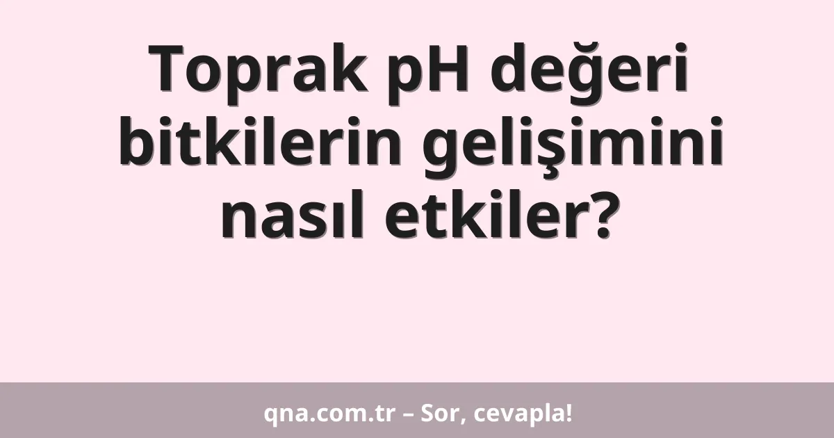 Toprak pH değeri bitkilerin gelişimini nasıl etkiler?