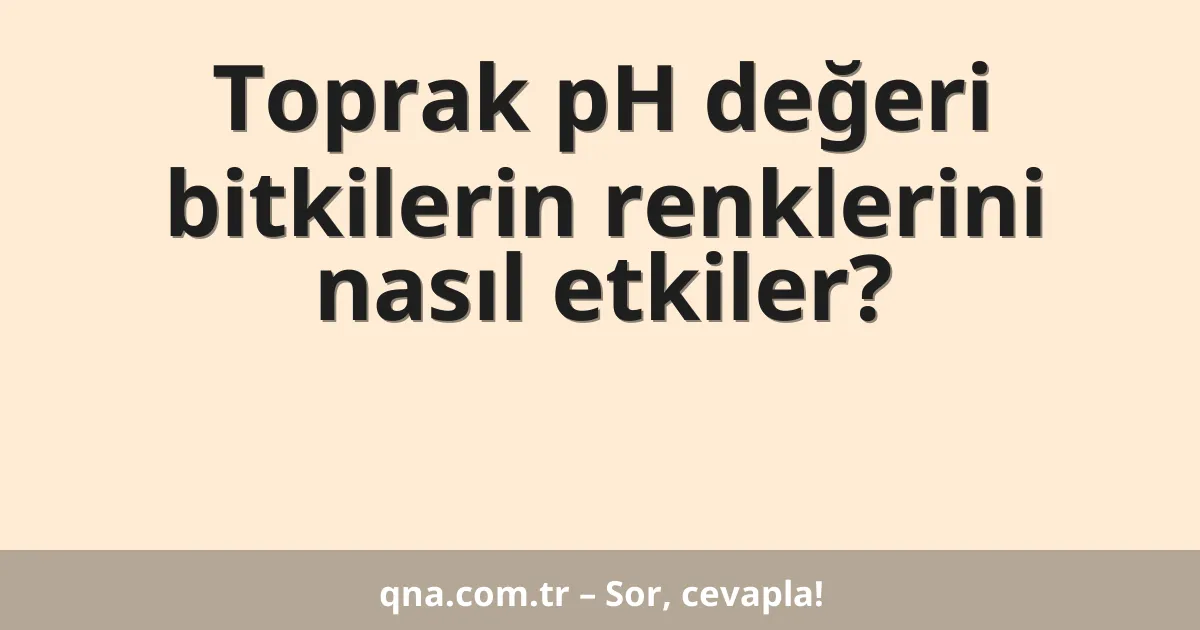 Toprak pH değeri bitkilerin renklerini nasıl etkiler?