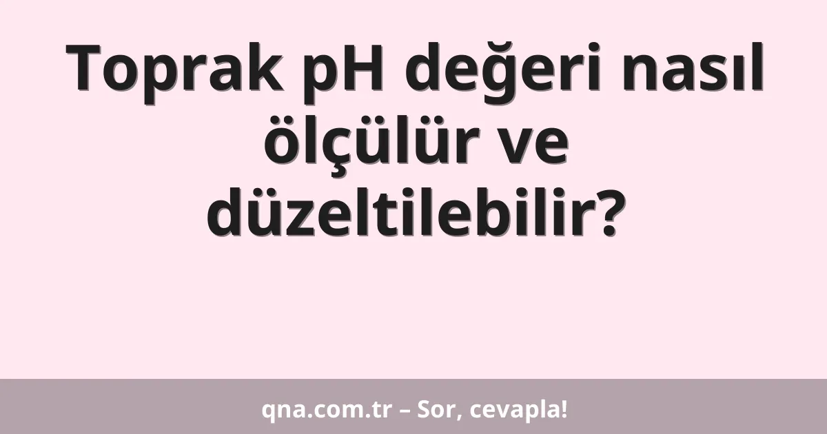Toprak pH değeri nasıl ölçülür ve düzeltilebilir?