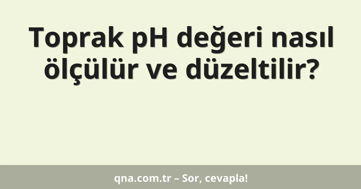 Toprak pH değeri nasıl ölçülür ve düzeltilir?