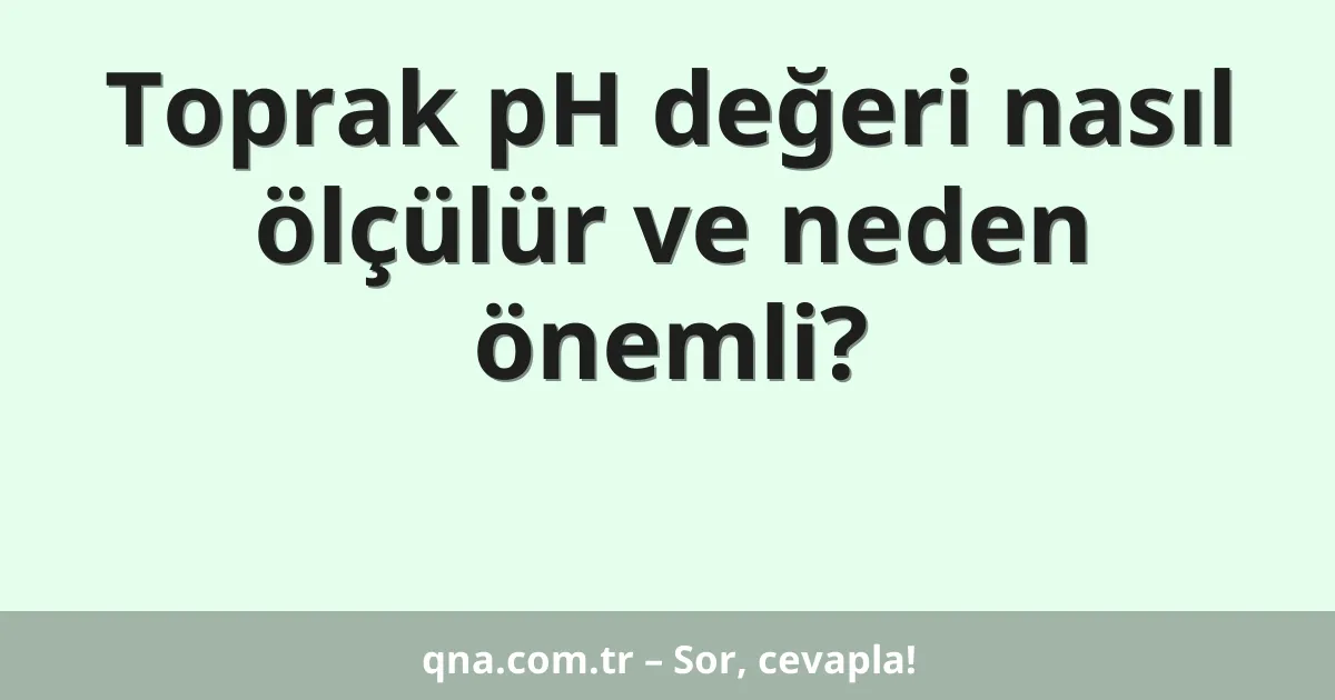 Toprak pH değeri nasıl ölçülür ve neden önemli?