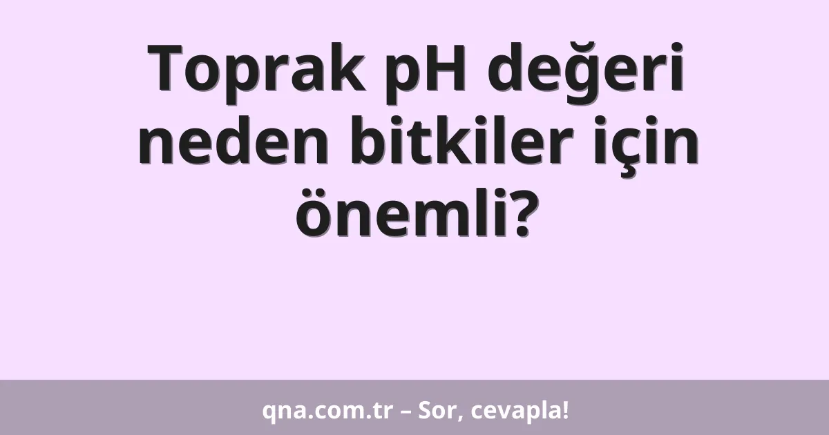 Toprak pH değeri neden bitkiler için önemli?