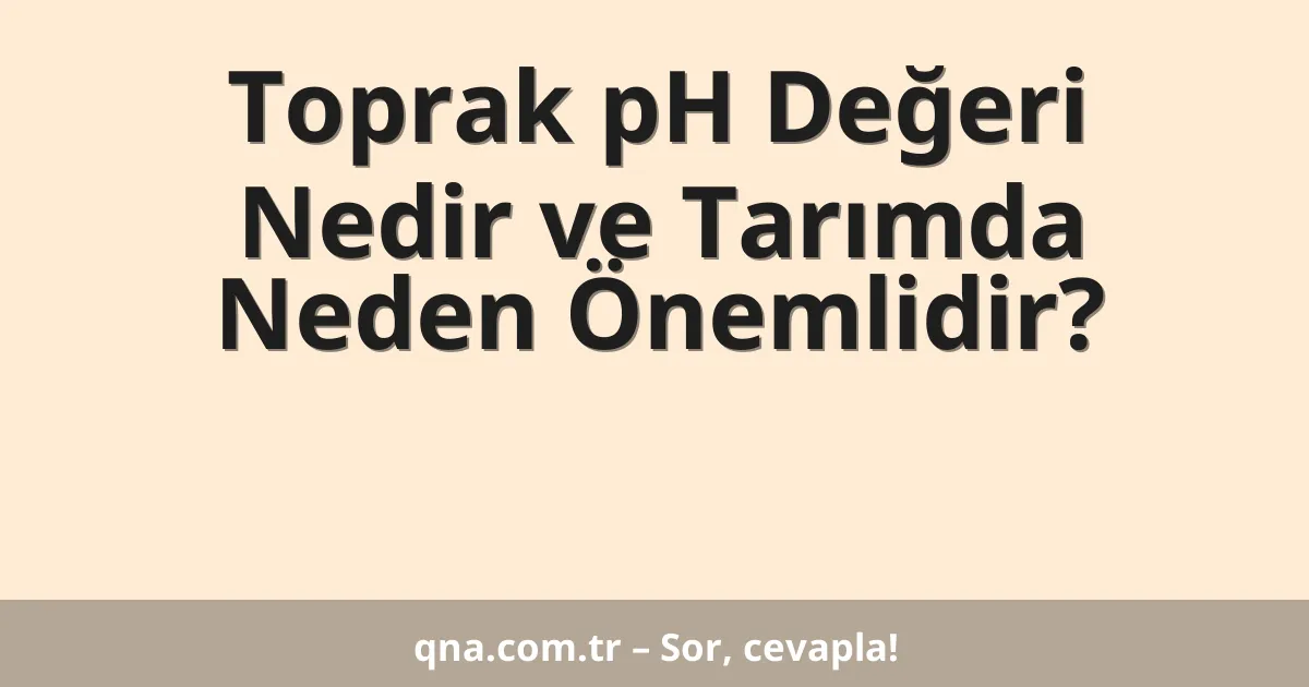 Toprak pH Değeri Nedir ve Tarımda Neden Önemlidir?