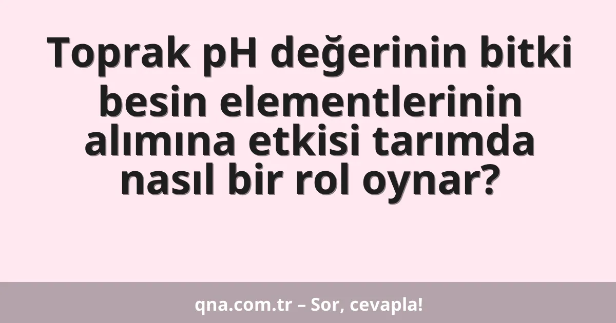 Toprak pH değerinin bitki besin elementlerinin alımına etkisi tarımda nasıl bir rol oynar?