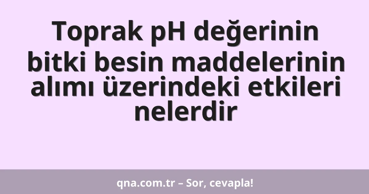 Toprak pH değerinin bitki besin maddelerinin alımı üzerindeki etkileri nelerdir