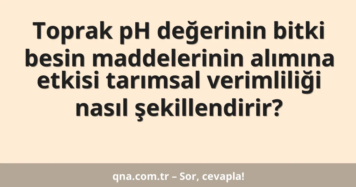 Toprak pH değerinin bitki besin maddelerinin alımına etkisi tarımsal verimliliği nasıl şekillendirir?