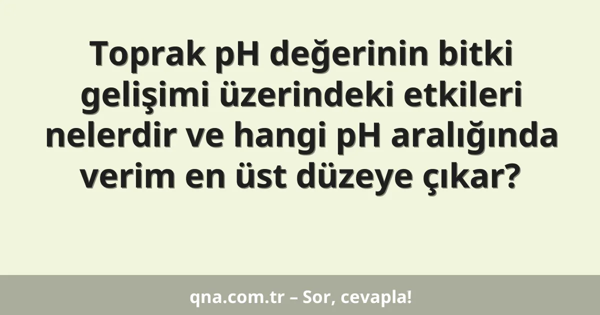 Toprak pH değerinin bitki gelişimi üzerindeki etkileri nelerdir ve hangi pH aralığında verim en üst düzeye çıkar?