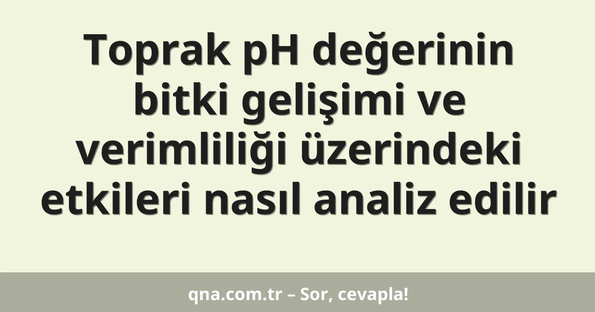 Toprak pH değerinin bitki gelişimi ve verimliliği üzerindeki etkileri nasıl analiz edilir