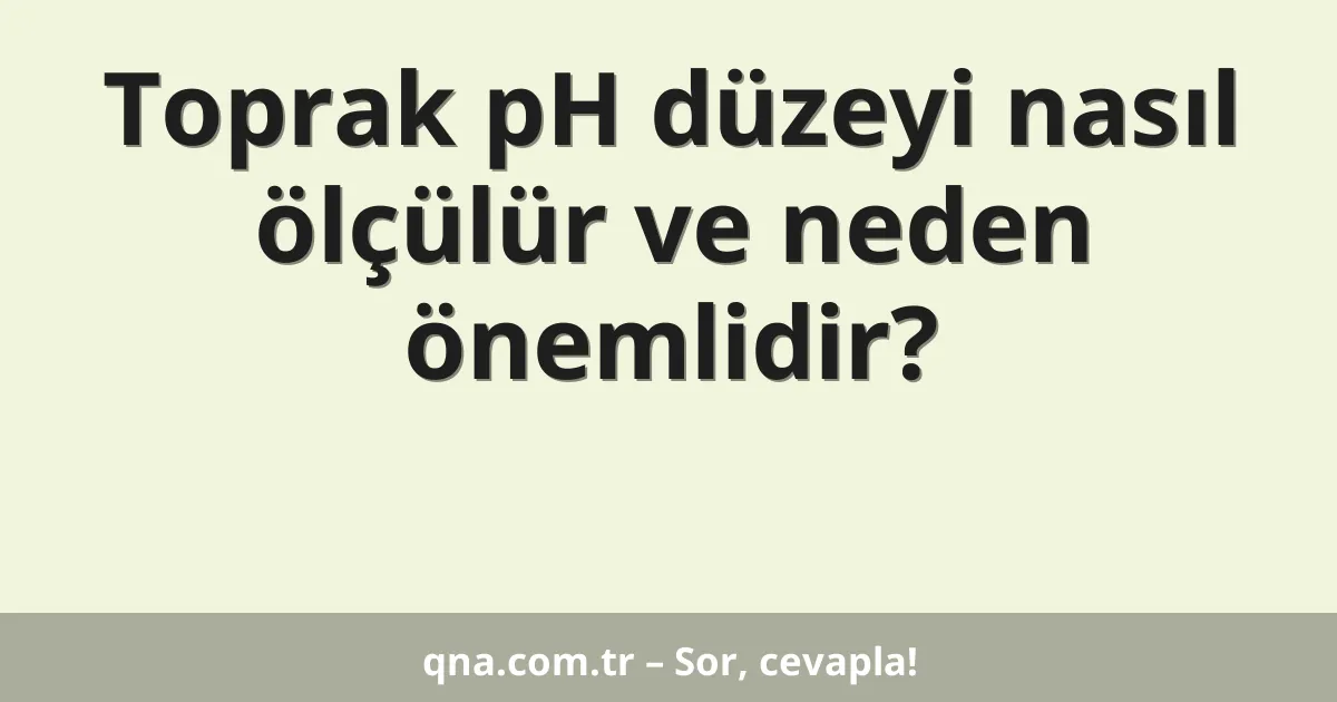 Toprak pH düzeyi nasıl ölçülür ve neden önemlidir?