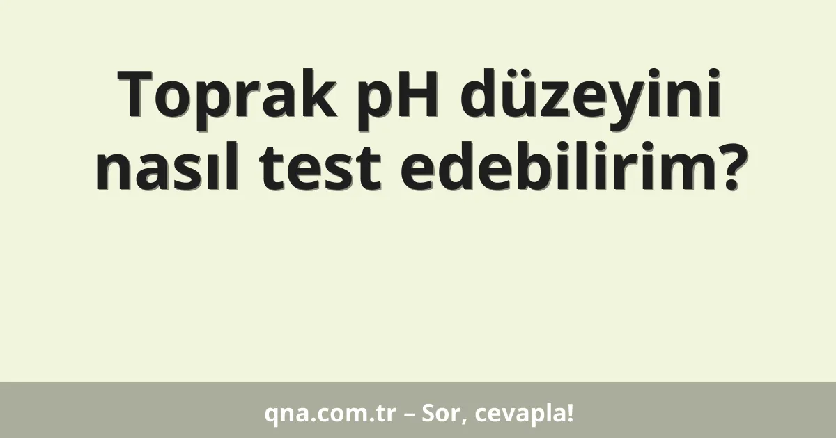 Toprak pH düzeyini nasıl test edebilirim?