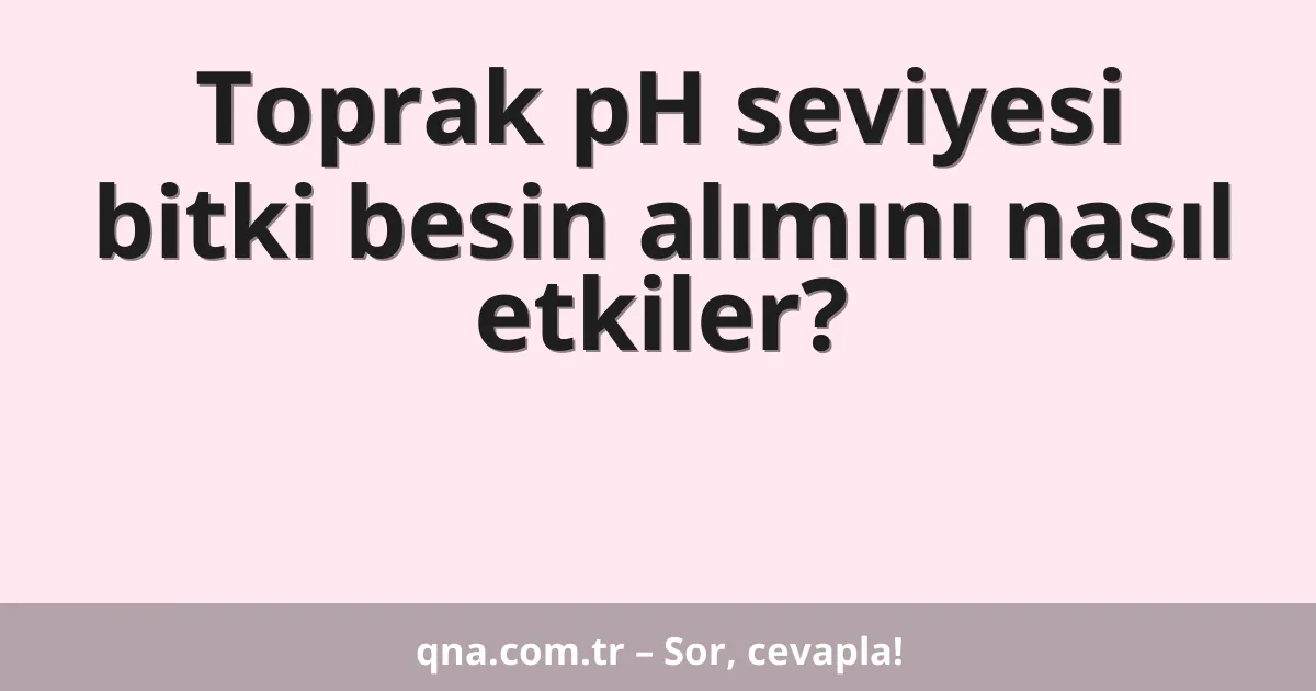 Toprak pH seviyesi bitki besin alımını nasıl etkiler?