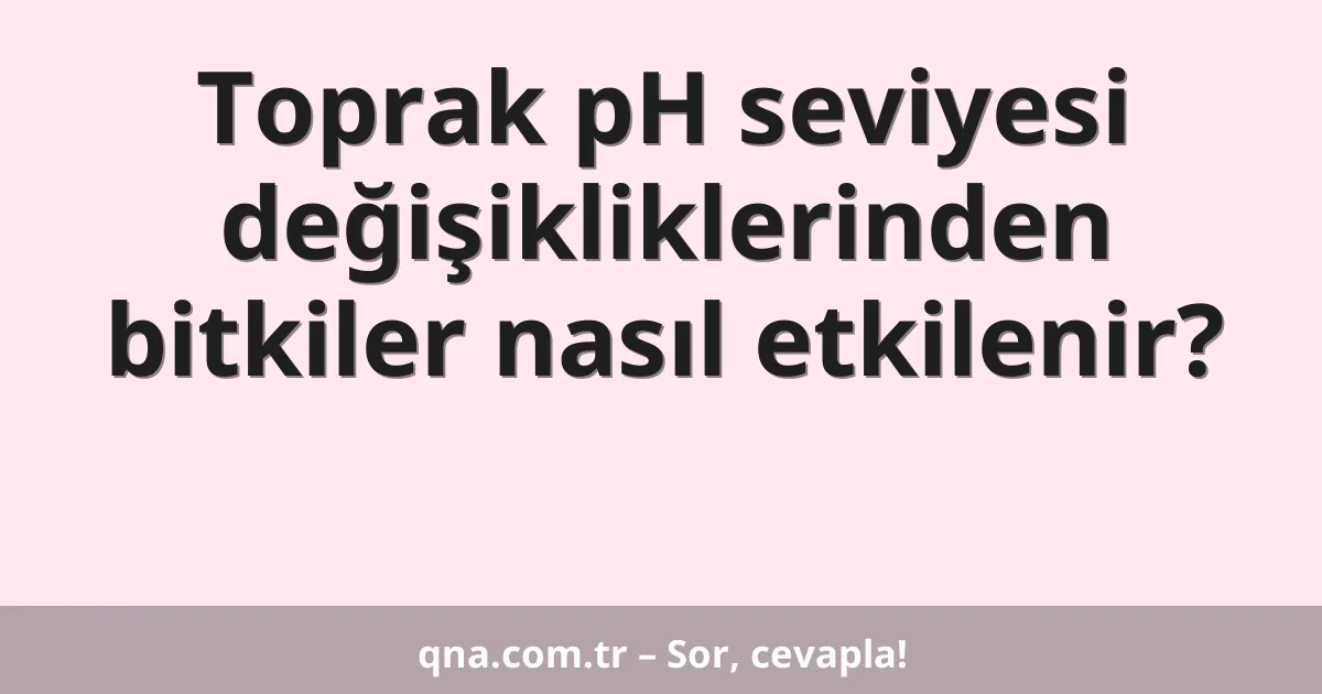 Toprak pH seviyesi değişikliklerinden bitkiler nasıl etkilenir?