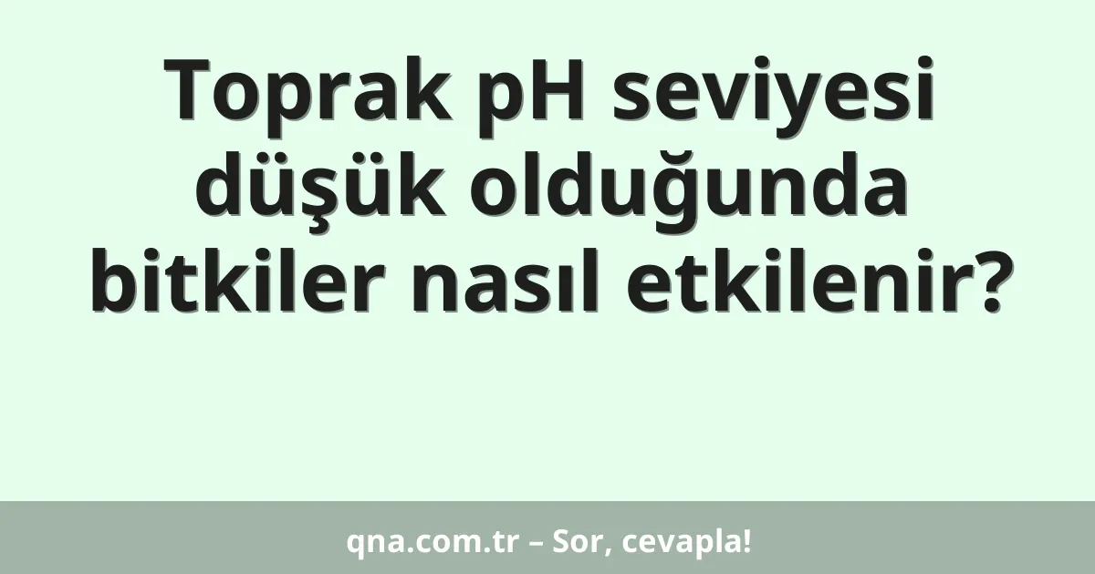 Toprak pH seviyesi düşük olduğunda bitkiler nasıl etkilenir?