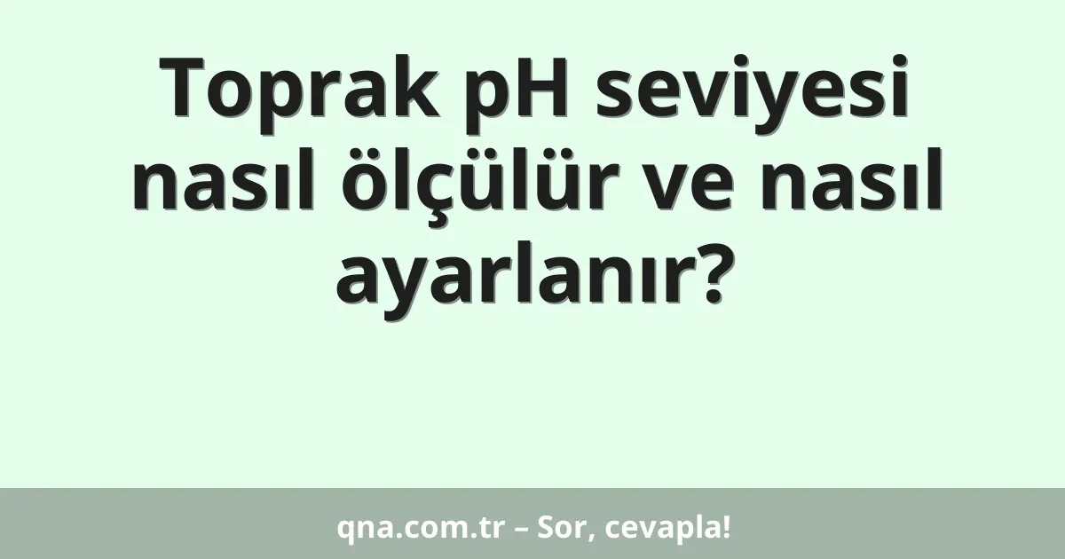 Toprak pH seviyesi nasıl ölçülür ve nasıl ayarlanır?