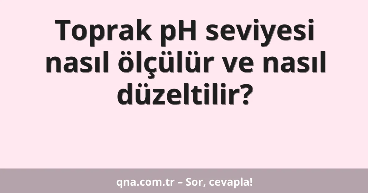Toprak pH seviyesi nasıl ölçülür ve nasıl düzeltilir?
