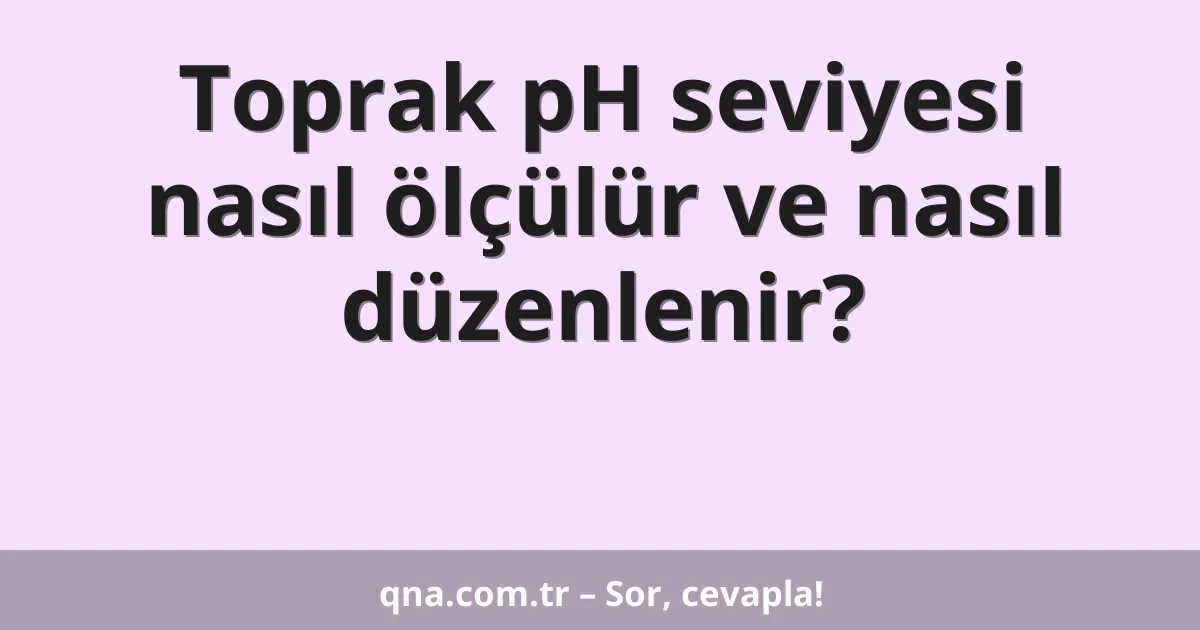 Toprak pH seviyesi nasıl ölçülür ve nasıl düzenlenir?