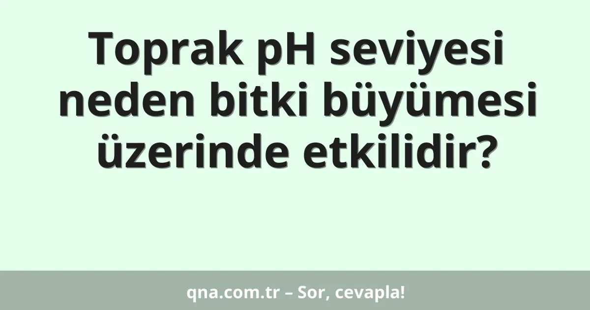 Toprak pH seviyesi neden bitki büyümesi üzerinde etkilidir?