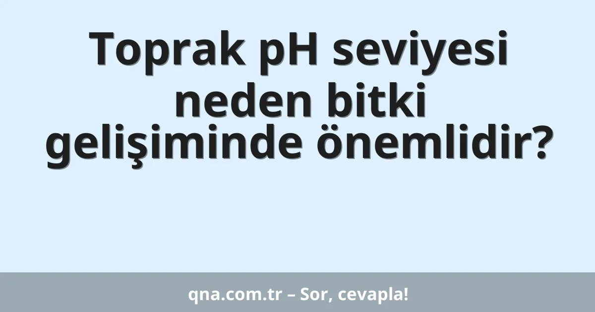 Toprak pH seviyesi neden bitki gelişiminde önemlidir?